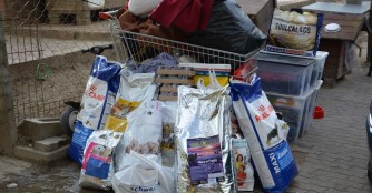 Spenden aus der Schweiz
