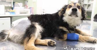 Szonja hat ein gebrochenes Becken