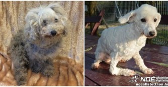 Tejbegr&iacute;z ist seit einem Monat bei uns