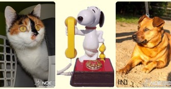 Ab jetzt sind wir auch am Telefon auf deutsch f&uuml;r Euch da!