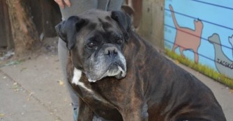 Tomb verlor seinen Menschen auf tragische Weise